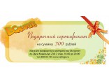 Подарочный сертификат 300 руб. на любые покупки в магазине "ВСлинге"